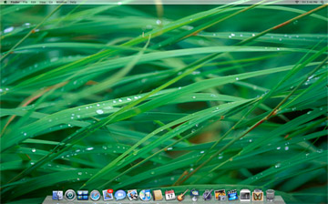 ugly new leopard desktop