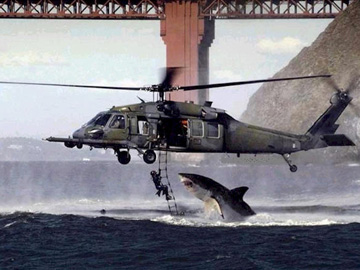 Great White Shark vs. Black Hawk Helicopter