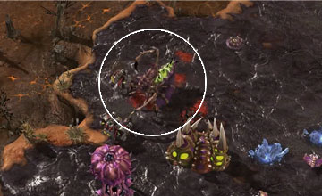 Starcraft 2 Zerg Teaser Screenshot